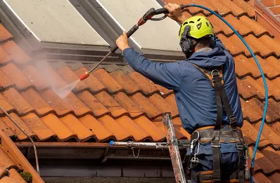 Démoussage et hydrofuge de toiture à Lugny
